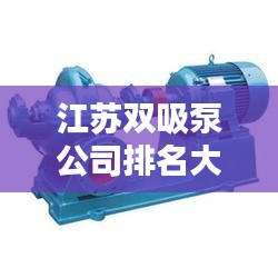 江苏双吸泵公司排名大揭秘，优质企业榜单不容错过！