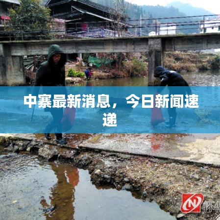 中寨最新消息，今日新闻速递