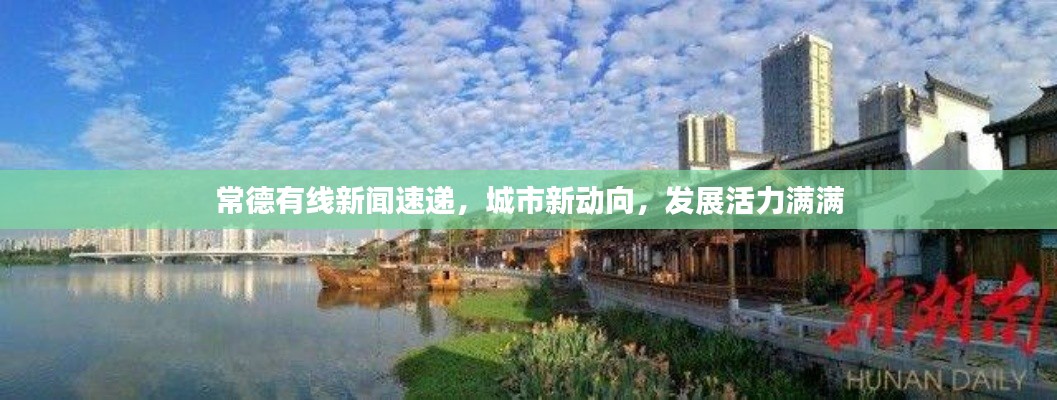 常德有线新闻速递，城市新动向，发展活力满满