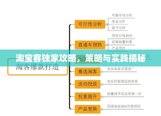 淘宝客独家攻略，策略与实践揭秘