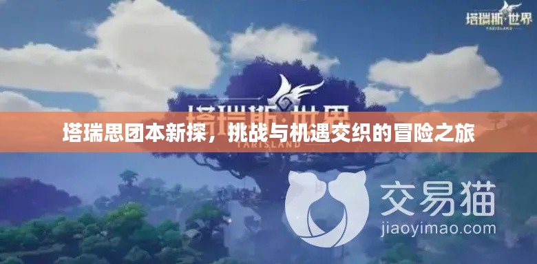 塔瑞思团本新探，挑战与机遇交织的冒险之旅