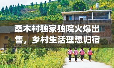 桑木村独家独院火爆出售，乡村生活理想归宿