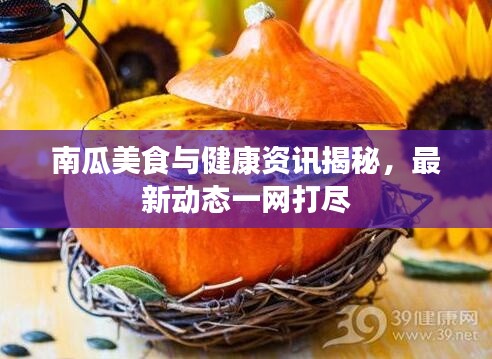 南瓜美食与健康资讯揭秘，最新动态一网打尽