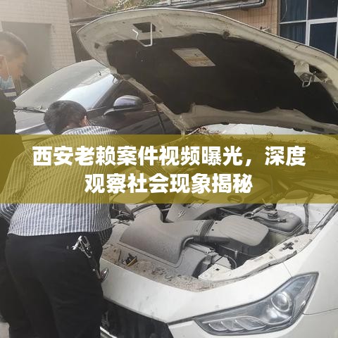 西安老赖案件视频曝光，深度观察社会现象揭秘