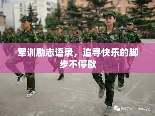 一丝不苟