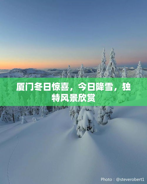 厦门冬日惊喜，今日降雪，独特风景欣赏