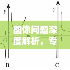 图像问题深度解析，专题复习全攻略
