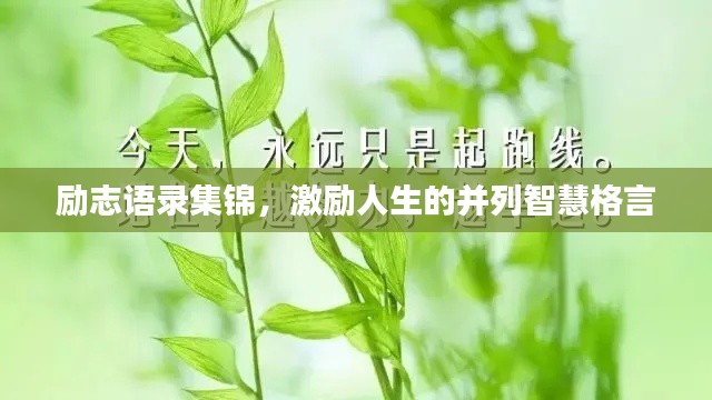 励志语录集锦，激励人生的并列智慧格言