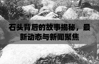 石头背后的故事揭秘，最新动态与新闻聚焦