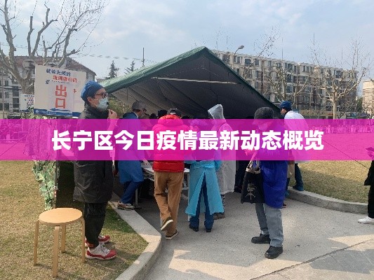 长宁区今日疫情最新动态概览