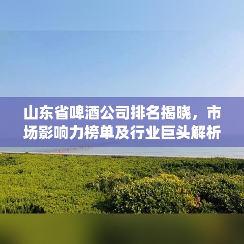 山东省啤酒公司排名揭晓，市场影响力榜单及行业巨头解析