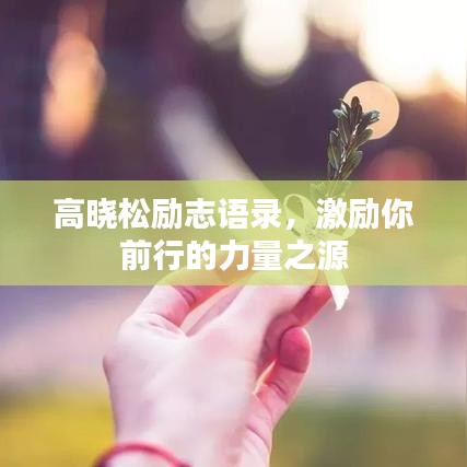高晓松励志语录，激励你前行的力量之源