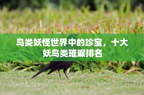 鸟类妖怪世界中的珍宝，十大妖鸟类璀璨排名