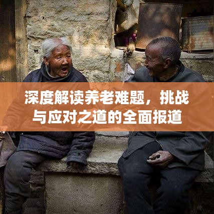 深度解读养老难题，挑战与应对之道的全面报道
