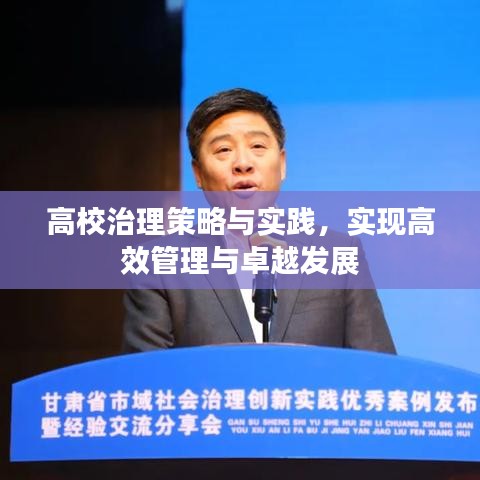 高校治理策略与实践，实现高效管理与卓越发展