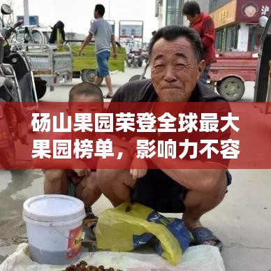 砀山果园荣登全球最大果园榜单，影响力不容小觑