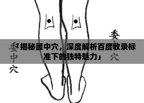 「揭秘颤中穴，深度解析百度收录标准下的独特魅力」