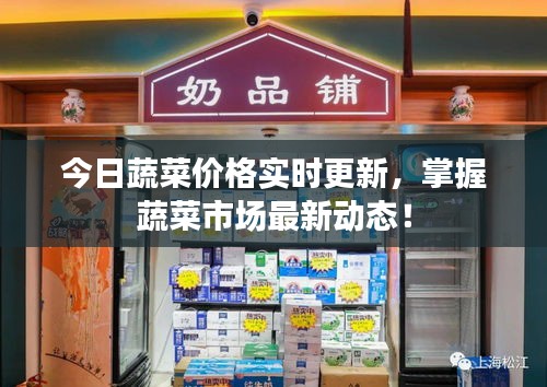 今日蔬菜价格实时更新，掌握蔬菜市场最新动态！