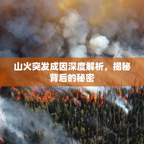 山火突发成因深度解析，揭秘背后的秘密