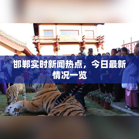 邯郸实时新闻热点，今日最新情况一览