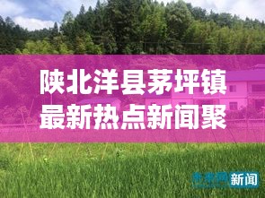 陕北洋县茅坪镇最新热点新闻聚焦