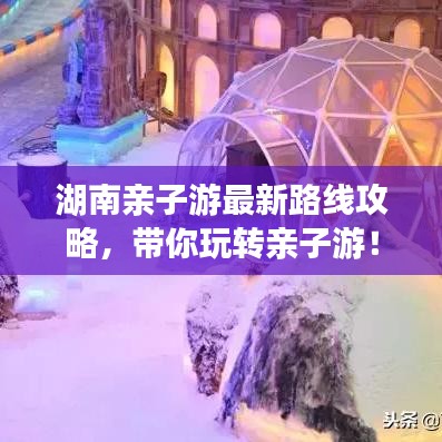 明目张胆