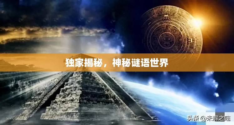 独家揭秘，神秘谜语世界