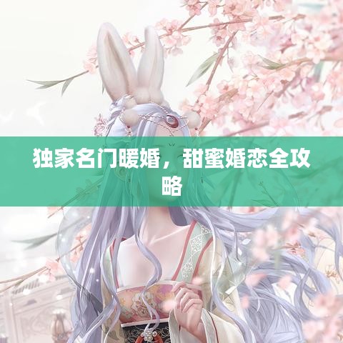 独家名门暖婚，甜蜜婚恋全攻略