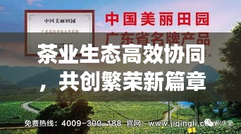 茶业生态高效协同，共创繁荣新篇章
