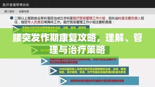 腰突发作期康复攻略，理解、管理与治疗策略