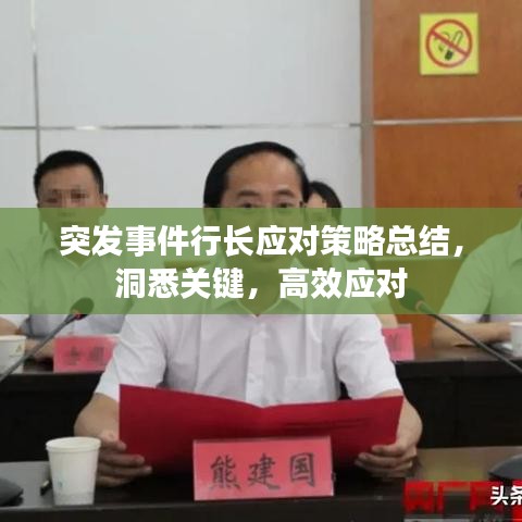 突发事件行长应对策略总结，洞悉关键，高效应对