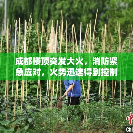 成都楼顶突发大火，消防紧急应对，火势迅速得到控制