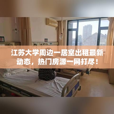 江苏大学周边一居室出租最新动态，热门房源一网打尽！