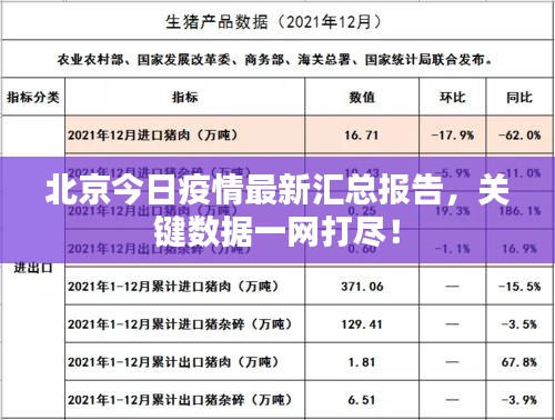 北京今日疫情最新汇总报告，关键数据一网打尽！