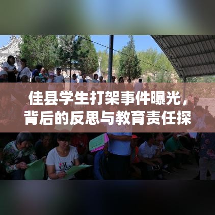 佳县学生打架事件曝光，背后的反思与教育责任探讨