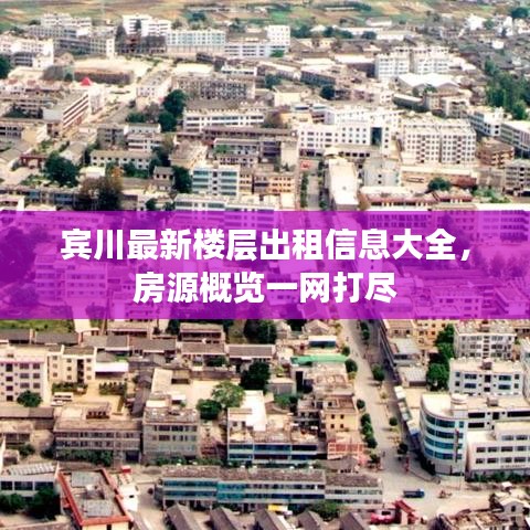 宾川最新楼层出租信息大全，房源概览一网打尽