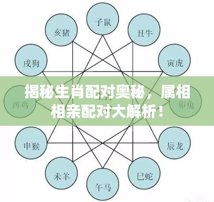 揭秘生肖配对奥秘，属相相亲配对大解析！
