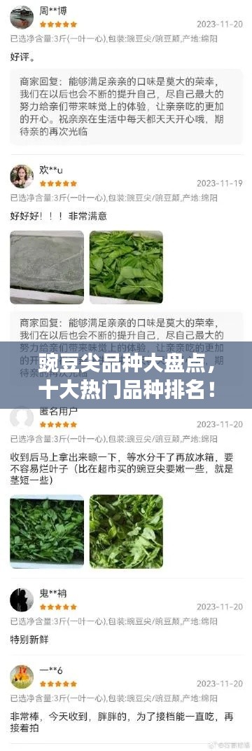 豌豆尖品种大盘点，十大热门品种排名！