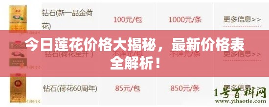 今日莲花价格大揭秘，最新价格表全解析！