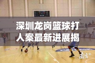 深圳龙岗篮球打人案最新进展揭秘