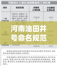 河南油田井号命名规范揭秘，专业标准，高效管理
