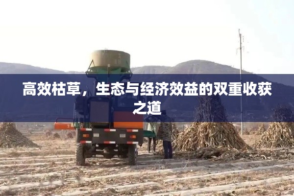 高效枯草，生态与经济效益的双重收获之道