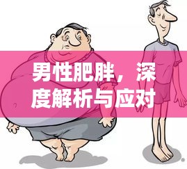 男性肥胖，深度解析与应对之道