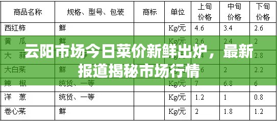 云阳市场今日菜价新鲜出炉，最新报道揭秘市场行情