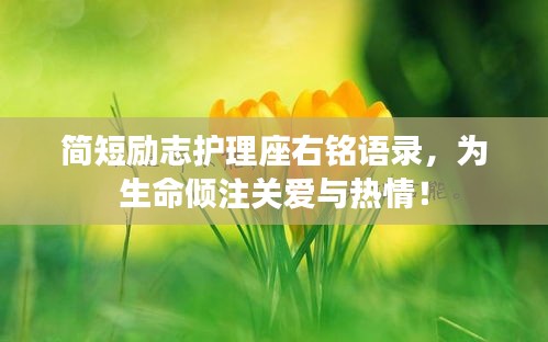 罗含梦鸟