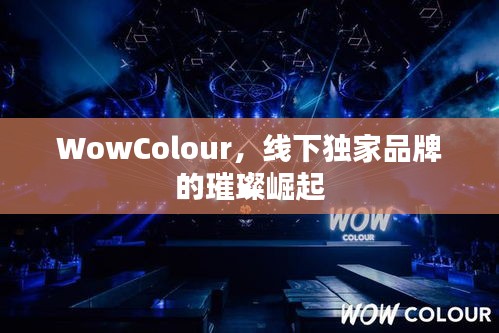 WowColour，线下独家品牌的璀璨崛起