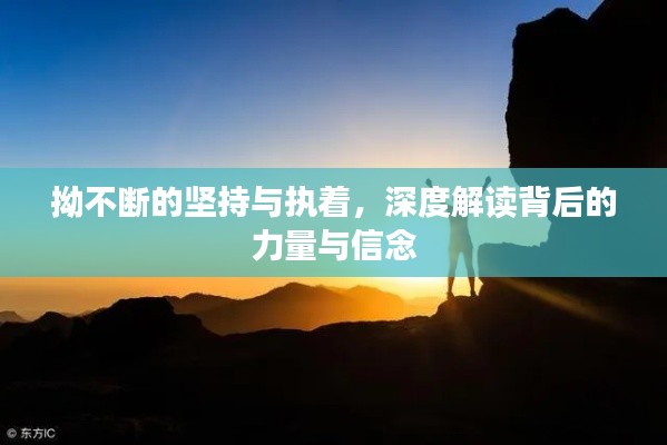 拗不断的坚持与执着，深度解读背后的力量与信念