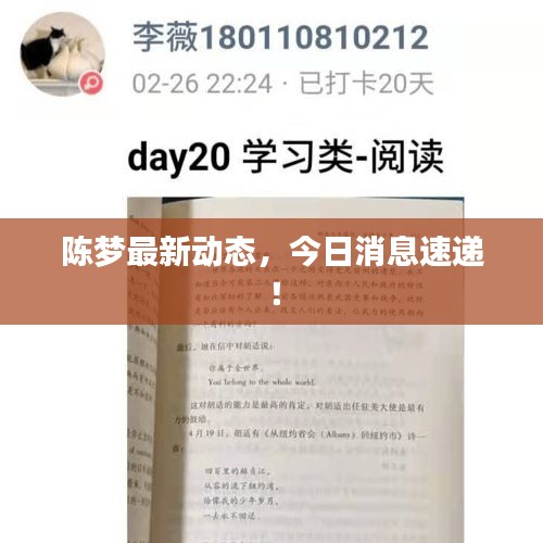 陈梦最新动态，今日消息速递！