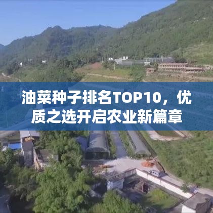 油菜种子排名TOP10，优质之选开启农业新篇章