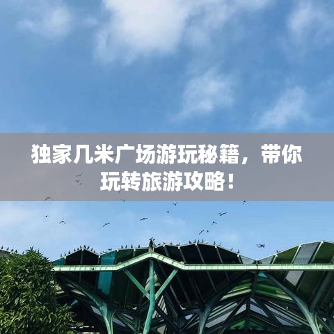 独家几米广场游玩秘籍，带你玩转旅游攻略！